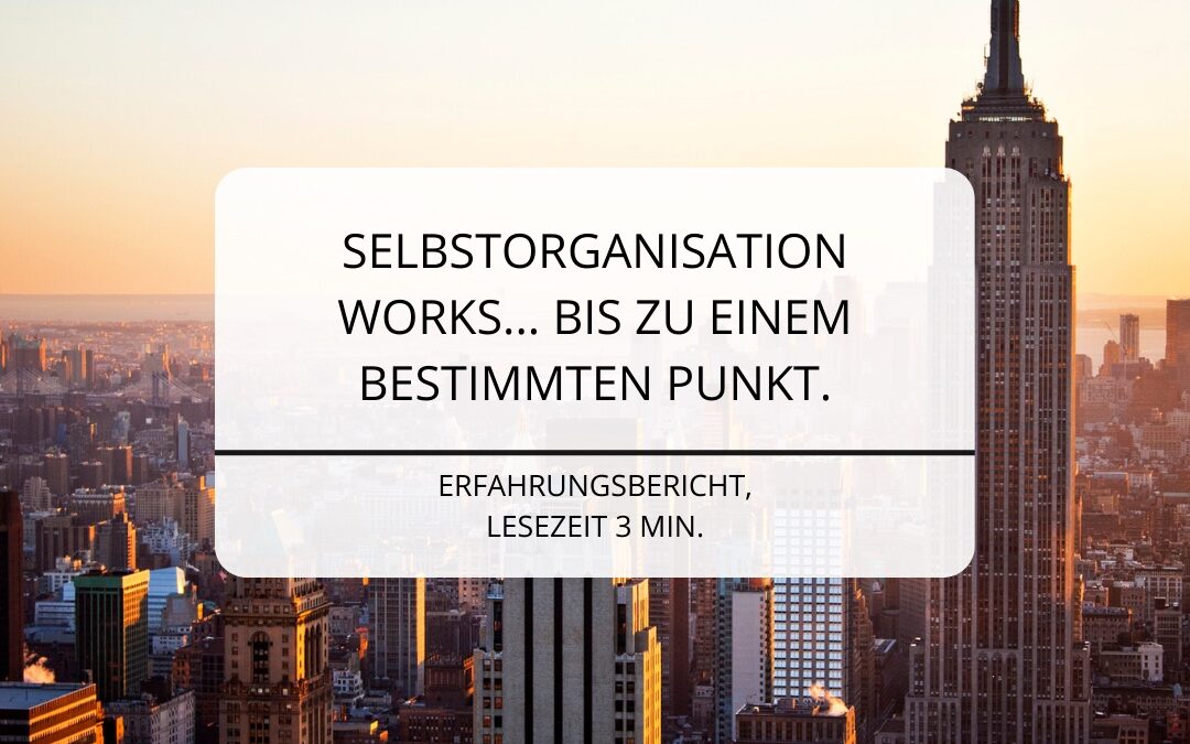 Selbstorganisation Praxisbeispiel