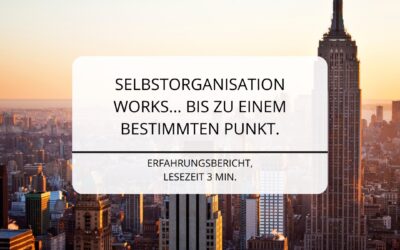 Selbstorganisation Praxisbeispiel