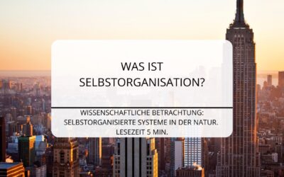 Was ist Selbstorganisation?